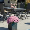New Xanadu / Aruba Garten-Essgruppe, xerix/natur, Alu/Teak/Glaskeramik, 4 Klappstühle, 160/220x100cm, Teak Armlehnen Garten-Essgruppen|Aluminium-Gartenmöbel