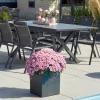 Online Xanadu / Aruba Garten-Essgruppe, xerix, Alu/Textilene/Glaskeramik, 6 Stapelsessel, 160/220x100cm Garten-Essgruppen|Aluminium-Gartenmöbel