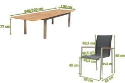 Online Garten-Essgruppe, natur/anthrazit, Edelstahl/Textilene/Teakholz, Ausziehtisch 220/340x100cm, 8 Diningsessel, FSC®-zertifiziertes Produkt Garten-Essgruppen