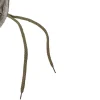 Online Green 6er-Set Sitzkissen für Niederlehner, nature, recyceltes Polyester, hautsympathisch, mit Rückengurt und Bindekordeln Niedriglehner-Auflagen