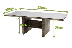 Clearance Rabida Dining Tisch, champagner-meliert, Polyrattan, 220 x 100 cm, Glasplatte in Steinoptik Gartentische|Polyrattan-Gartenmöbel