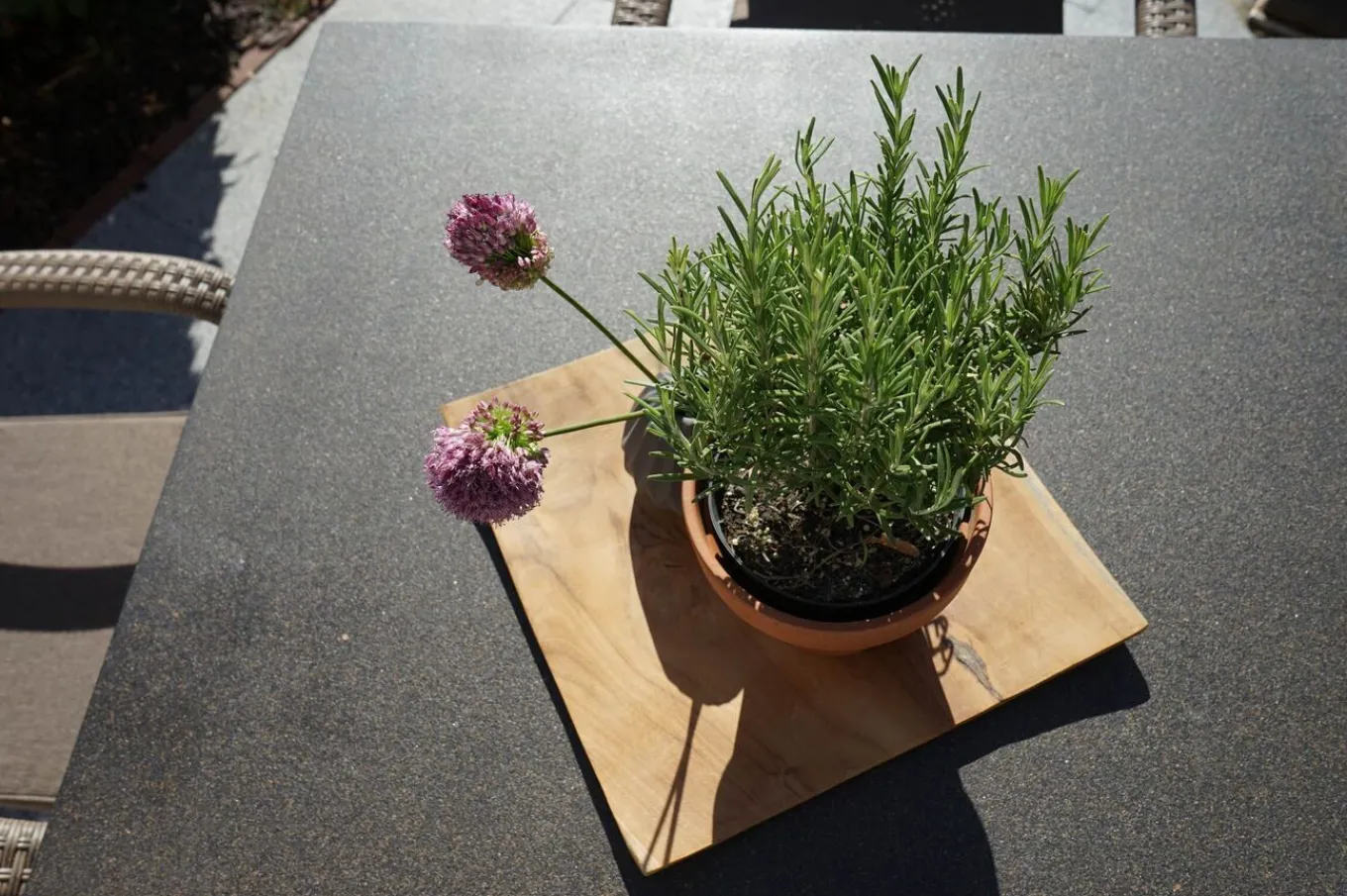 Rabida Garten-Essgruppe, champagner-meliert, Polyrattan, Tisch 90 x 90 cm, 4 Stapelsessel, Glasplatte in Steinoptik Polyrattan-Gartenmöbel|Garten-Essgruppen